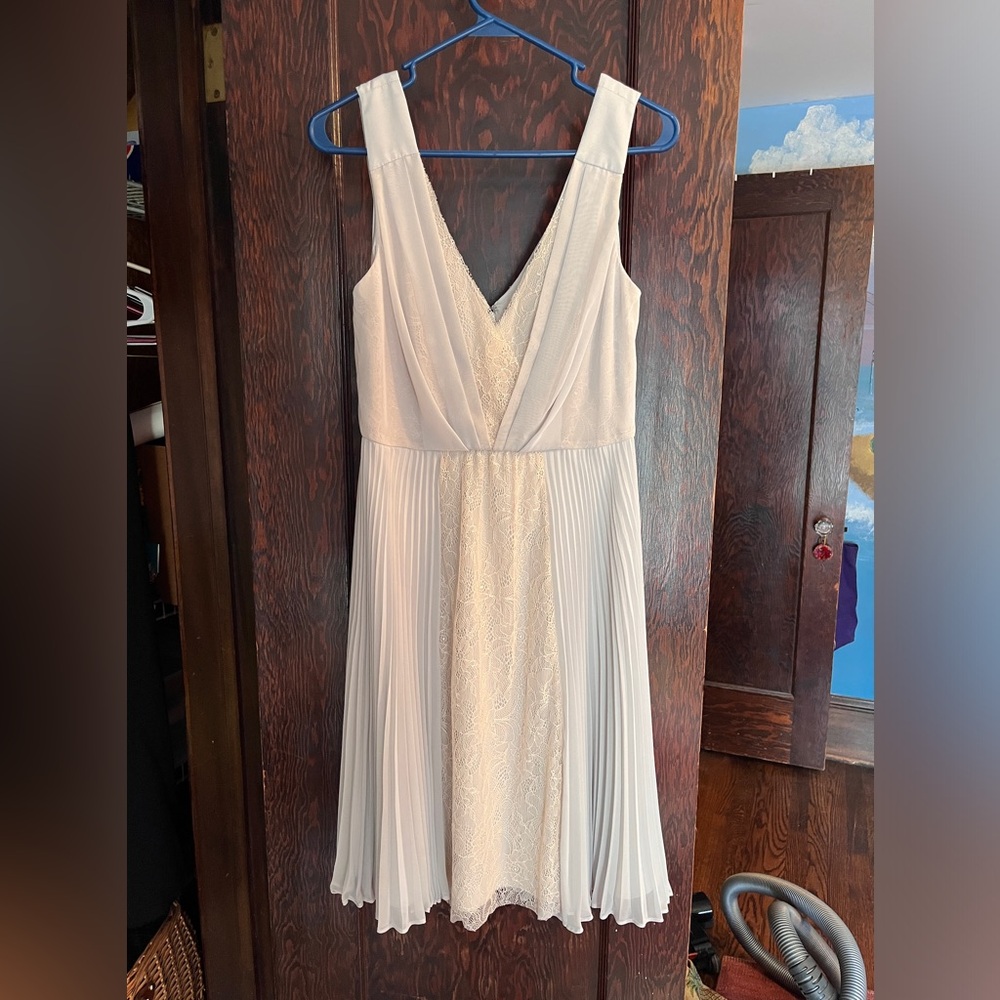 NWT maxandcleo Natalie dress